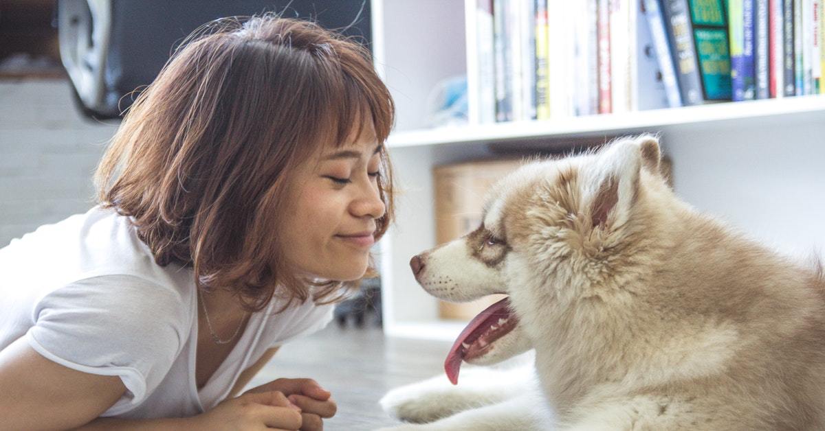 honden luisteren vrouwen