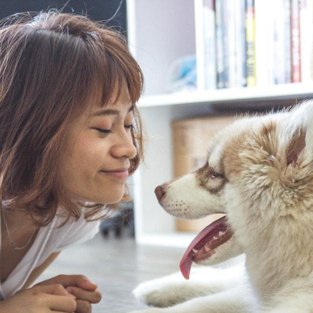 honden luisteren vrouwen