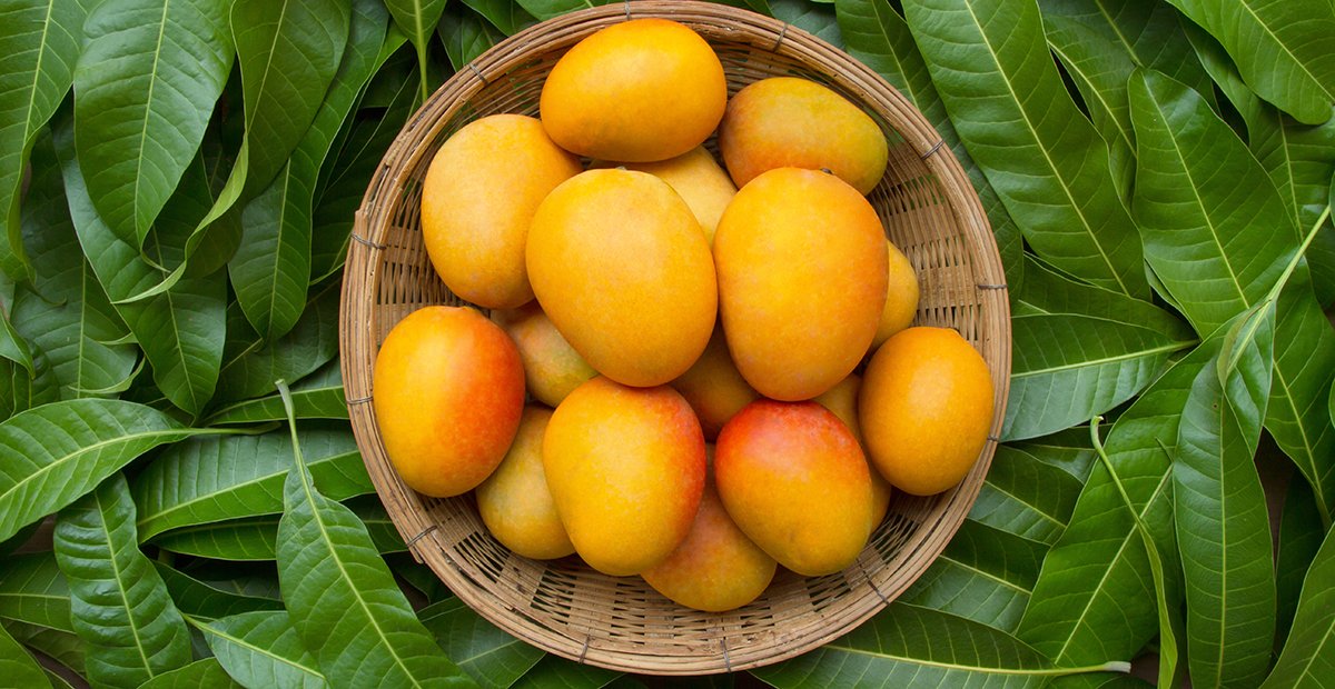 mango